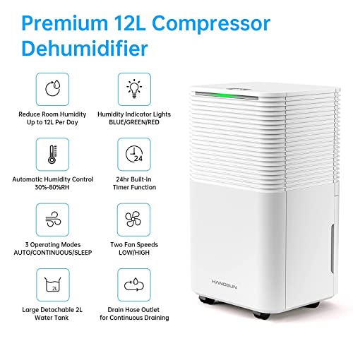 Hangsun 12L Dehumidifier with Digital Humidity Display, Sleep Mode